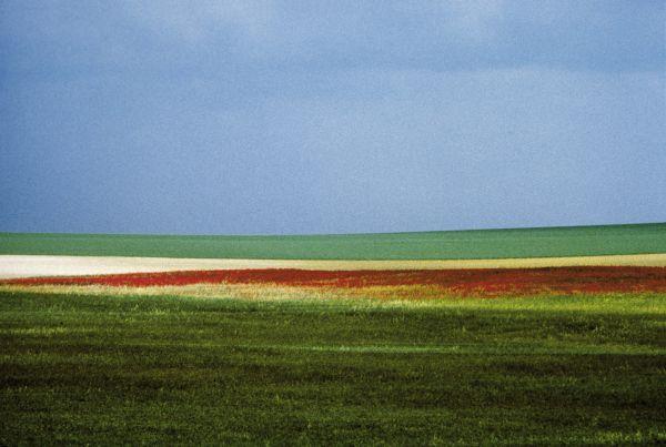 Landscape 1 - Homenaje a: Franco Fontana