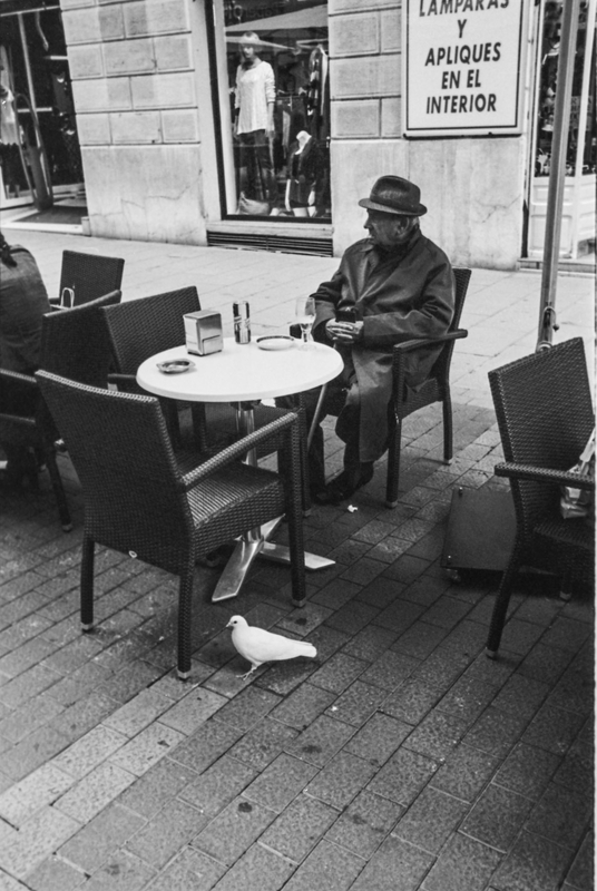 El anciano y la paloma - A la calle